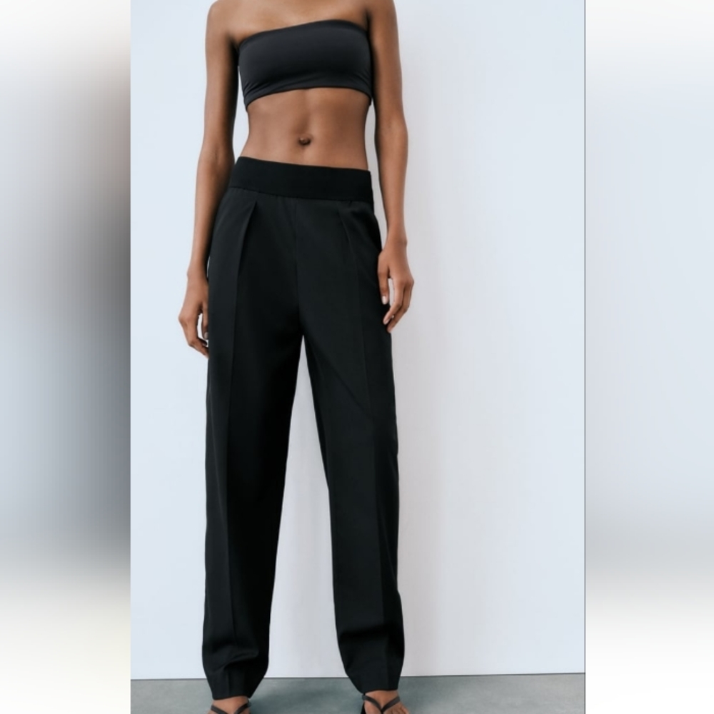 Zara Zippered Pleated Pants